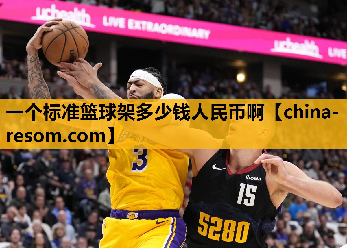一个标准篮球架多少钱人民币啊