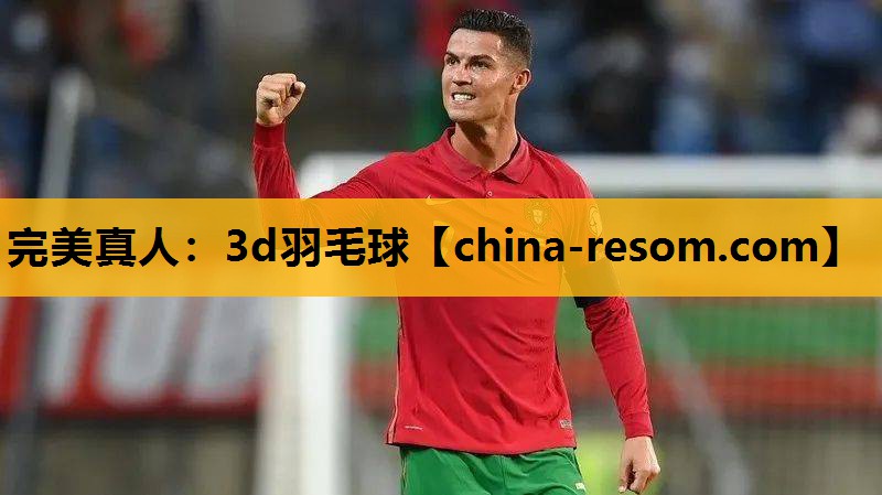 完美真人：3d羽毛球