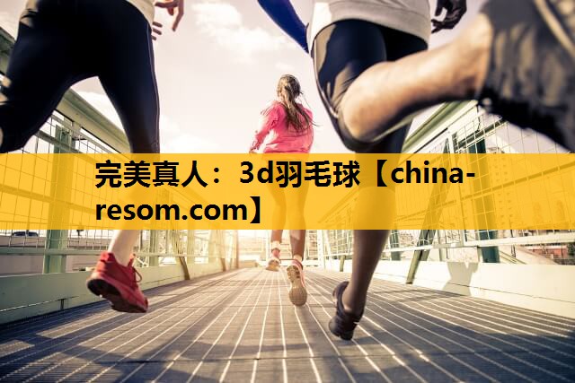 3d羽毛球
