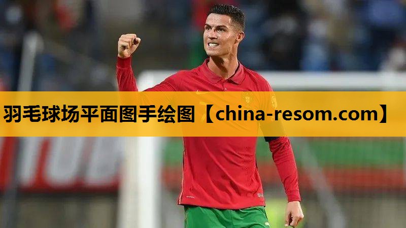 羽毛球场平面图手绘图