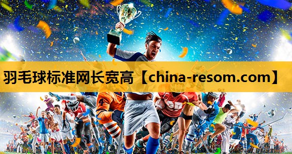 羽毛球标准网长宽高